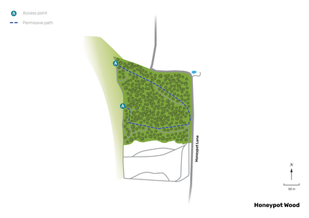 Illustrated map of Honeypot Wood.