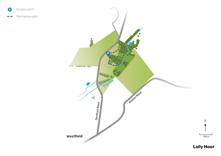 Illustrated map of Lolly Moor.