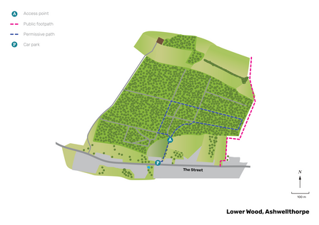 Illustrated map of Lower Wood, Ashwellthorpe.