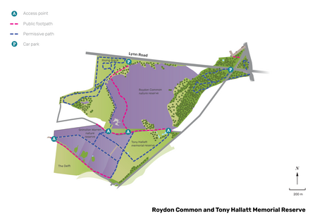 Illustrated map of Roydon Common.