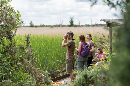 Using binoculars, a person gazes across a reedbed at Hickling Marsh nature reserve