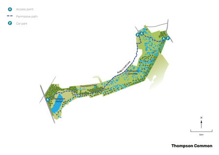 Illustrated map of Thompson Common
