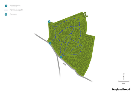 Illustrated map of Wayland Wood