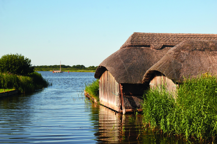 Floating thatched buildings at Hickling Broad. 