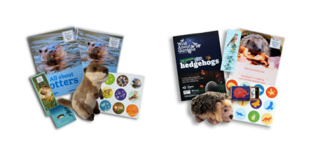 Contents of the adopt an otter and adopt a hedgehog welcome packs - certificates, soft toys, stickers, bookmarks, information booklets and other goodies