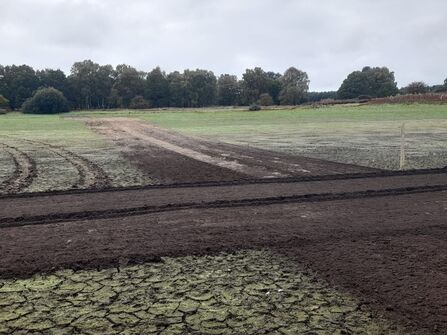 an area of land that has been rotovated