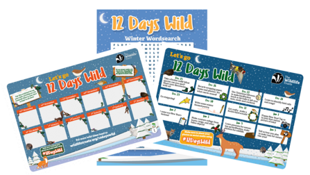The digital resources available through 12 Days Wild! A wallchart to mark off your daily activities, 12 wild ideas and a wild wordsearch