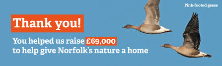 Thank you! You helped us raise £69,000 to help give Norfolk's nature a home