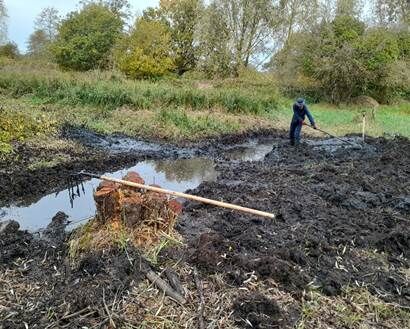 A volunteer digging around a wet, muddy ditch at Sweet Briar Marshes.