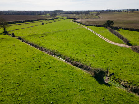 Norton Beck tributary running through Wood Norton, our newest nature reserve. 
