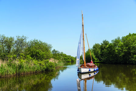 A sailboat sailing on the Norfolk Broads on a sunny day with clear blue skies. 