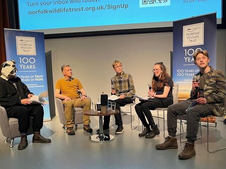 A line of people on stage conducting an interview. The person on the far left is dressed as a badger, while the young adult on the far right speaks into a microphone