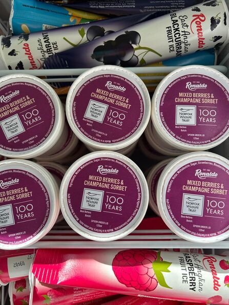 Tubs of sorbet with purple lids