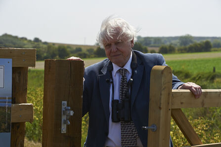 A man with white hair, wearing a suit, standing by a wooden gate in a marsh and looking at the camera. He has a pair of binoculars hanging around his neck.