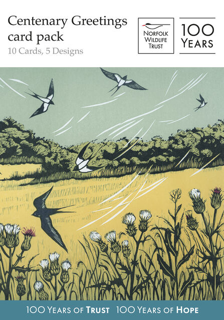 Centenary greeting cards pack