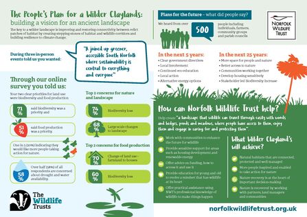 An infographic with lots of text, silhouettes and images. It is about the Claylands project. 