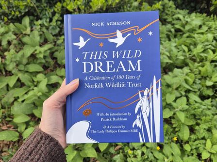 A cobalt blue book with white and copper wildlife illustrations is held against a background of green plants
