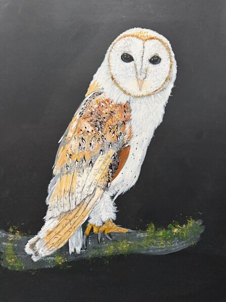 A textile artwork of a barn owl