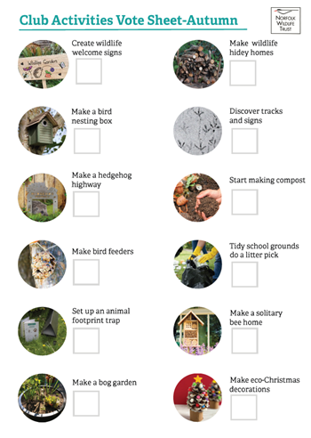 A sheet with a list of club activities that can be voted on.
