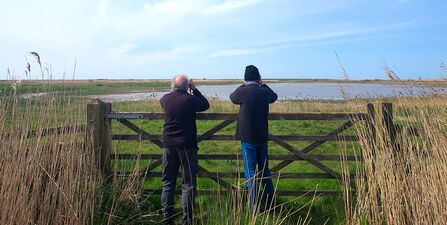 Two men stand in front of a gate in the middle of Cley Marshes, facing away from the camera. They are looking through binoculars across the marshes, underneath a blue sky.