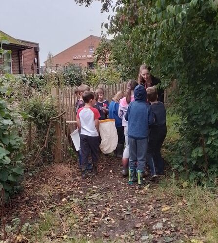 A group of children in their school grounds searching for minibeasts
