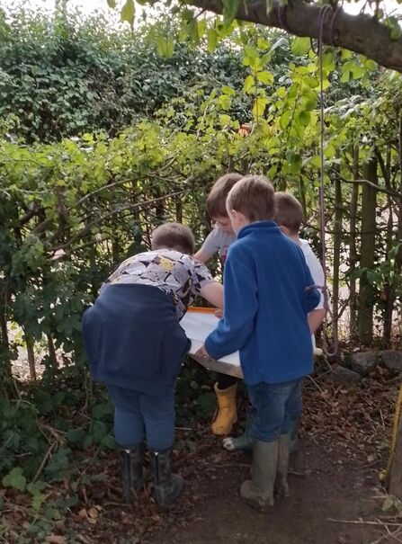 Four schoolchildren stand around a clipboard on a patch of earth, looking down at it