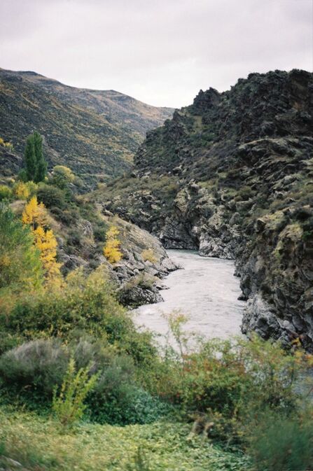 A photo of a landscape in Australia. The photo features mountains stretching across the horizon, with green trees and grass growing on them. A river passes between them, with plants on the bank in the foreground. The sky is grey and cloudy above the scene.