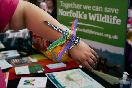 A paper rainbow dragonfly on someone's arm at a Pride stall. 