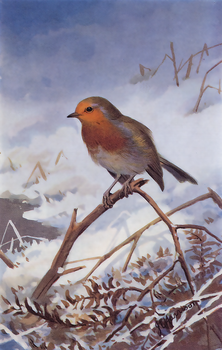 A painting of a robin perched on a twig amongst snow