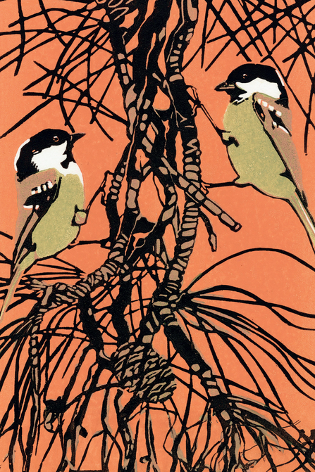 A print of two coal tits perched amidst a conifer branch against an orange background