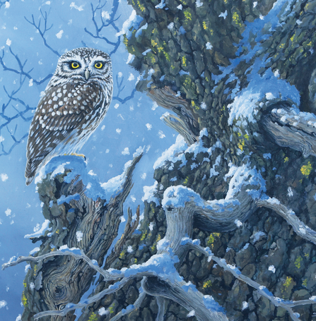 A painting of a little owl perched on a snowy gnarled tree