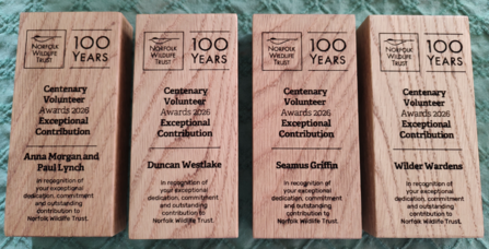 Four rectangular trophies made of oak sitting in a line, each one engraved with the award winner's name and achievement