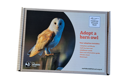 A carboard box with a barn owl graphic printed on the front and the words adopt a barn owl