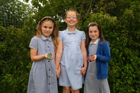Three girls wearing blue school uniforms stand in a line smiling at the camera. Two of the girls are holding stones that are painted to look like animals.