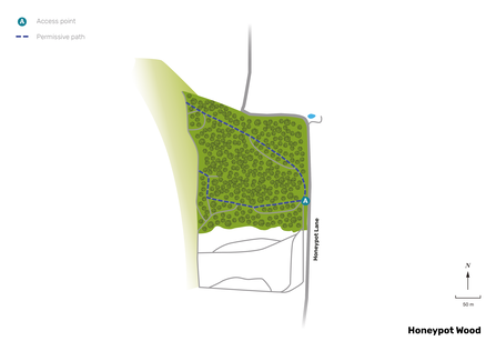 Illustrated map of Honeypot Wood.