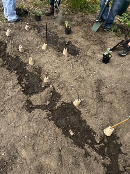 A photo of soil in an allotment which is being gardened, with people's feet and spades visible in the background.