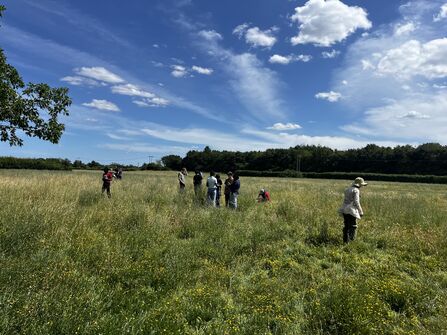 A group of young people collecting seeds in a field on a sunny day.