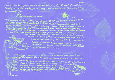 A handwritten diary entry, with some nature illustrations around the outside of the page. The background is purple, with green writing and pictures.