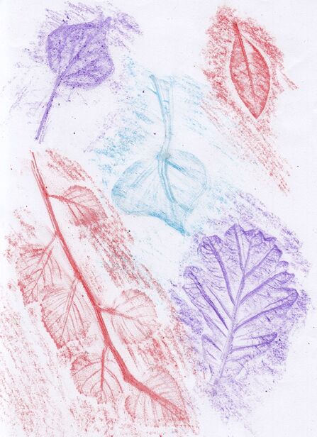 A page of leaf rubbings. The leaves are coloured in red, blue and purple, against a white background.