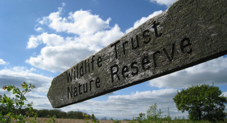 A wooden sign with the words 'Wildlife Trust Nature Reserve' written on
