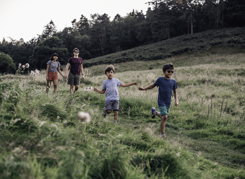 A young family, formed of two children and two parents, walks through a field in the summer