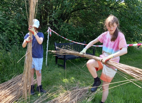 Two young people are gathering reeds into bundles on the grass