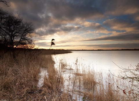Sunset reeds and water at Martham Broad and Marshes