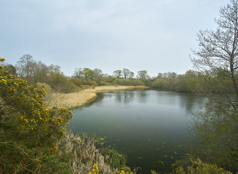 Trees and shrubs surrounding a pool at Sparham Pools
