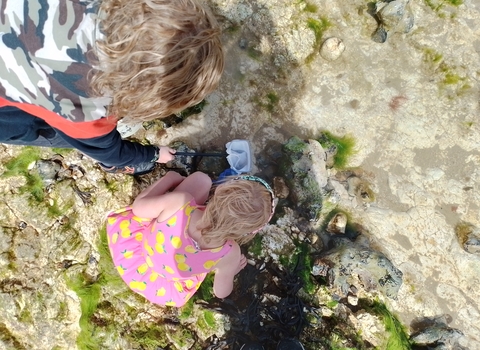 A young girl in a pink and yellow dress, peering into a rockpool at West Runton