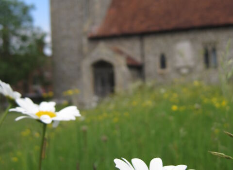Churchyard with oxeye daisies in the foreground and a church in the background