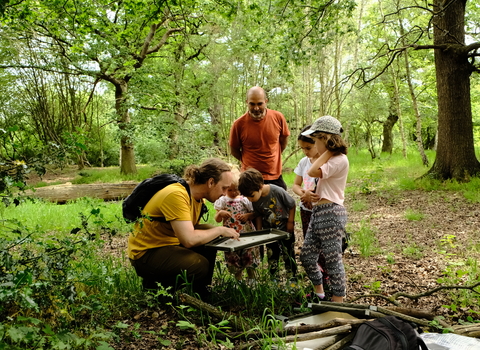 a group of adults and children in a woodland looking into a net