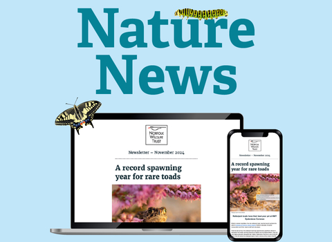 Text that says, 'nature news' with a laptop and phone displaying an e-newsletter.