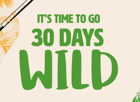 It's time to go 30 Days Wild