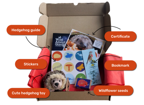 The contents of a hedgehog adoption: bookmark, hedgehog guide, hedgehog soft toy, stickers, certificate and seedballs